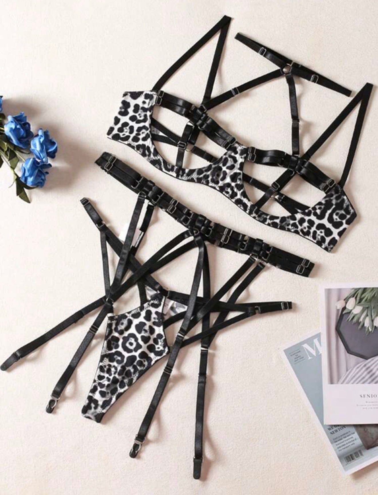 Vixen - 5 piece