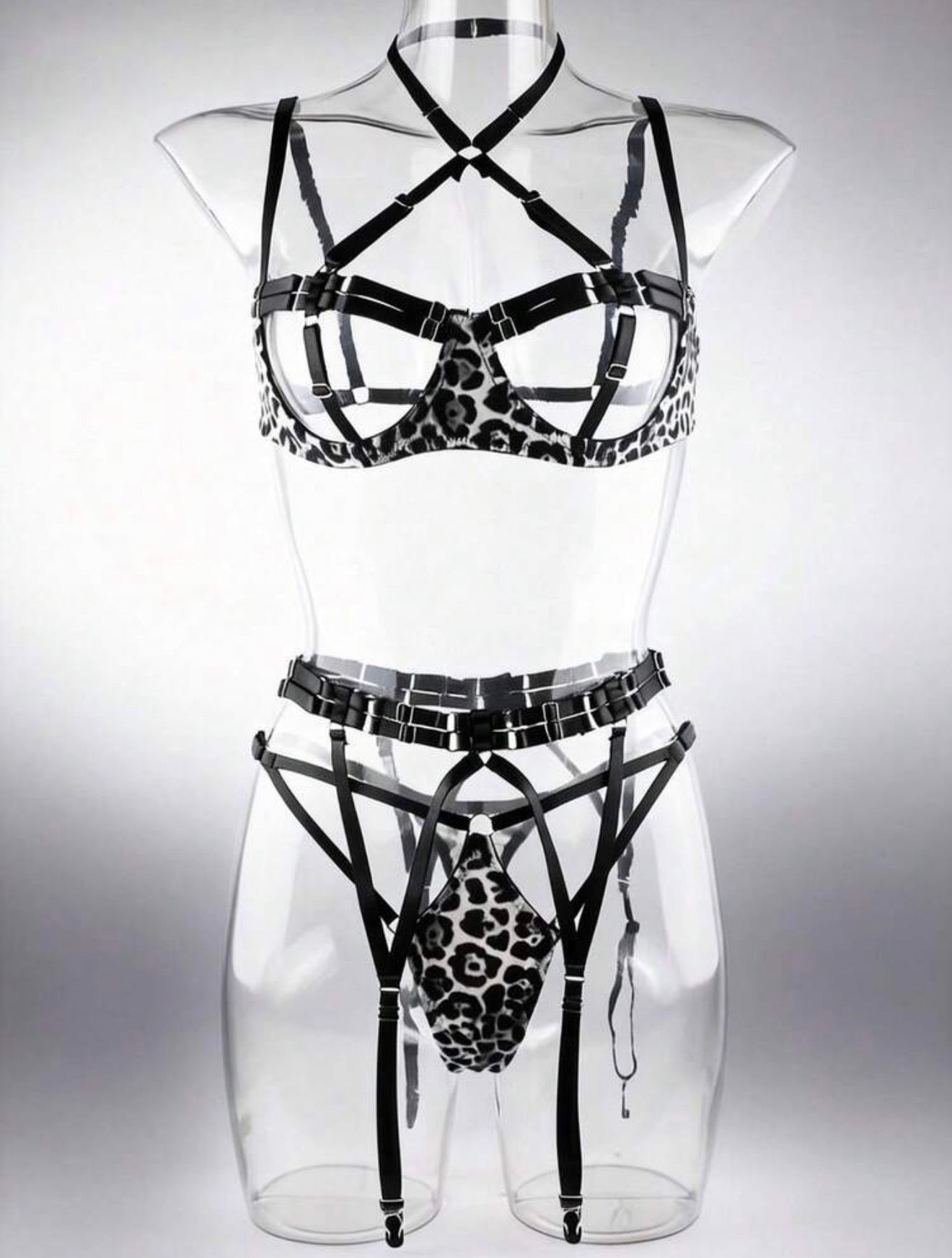 Vixen - 5 piece